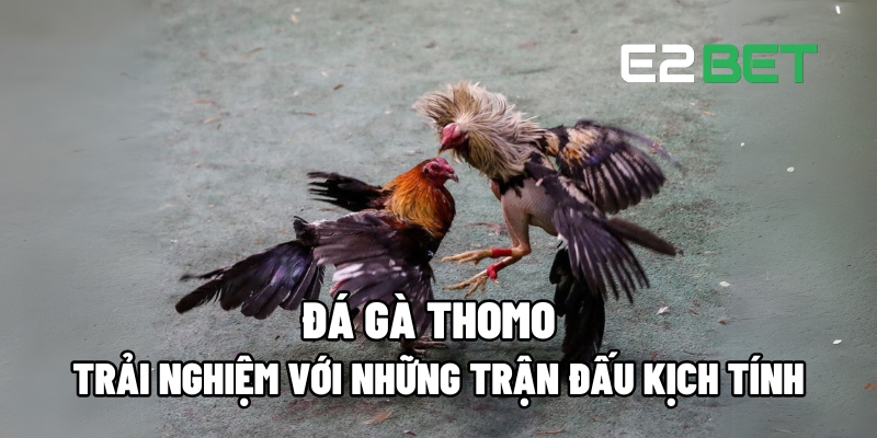 da ga thomo 1